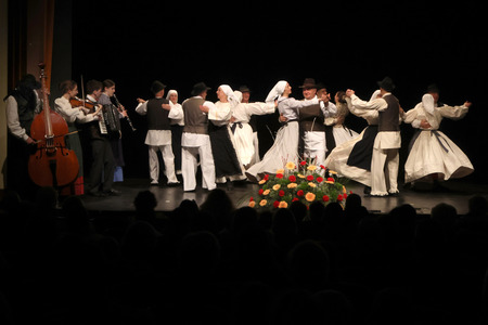 Območno srečanje otroških folklornih skupin RINGARAJA 02 Foto Ljubo Vukelič